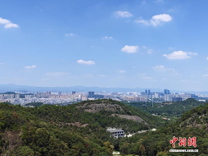 爱游戏以实时赛事直播，精彩不容错过为核心，带来高效便捷的体验。 - 爱游戏